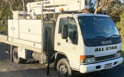 imgi_5_13m_cherry-copy imgi_5_13m_cherry-copy